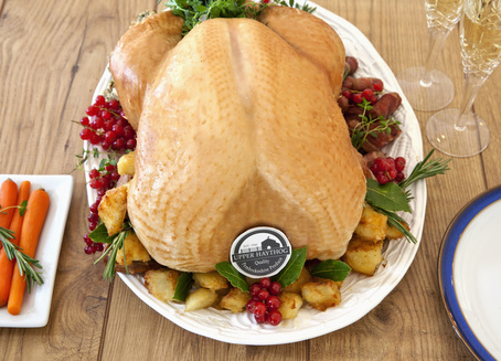pembrokeshire christmas turkey